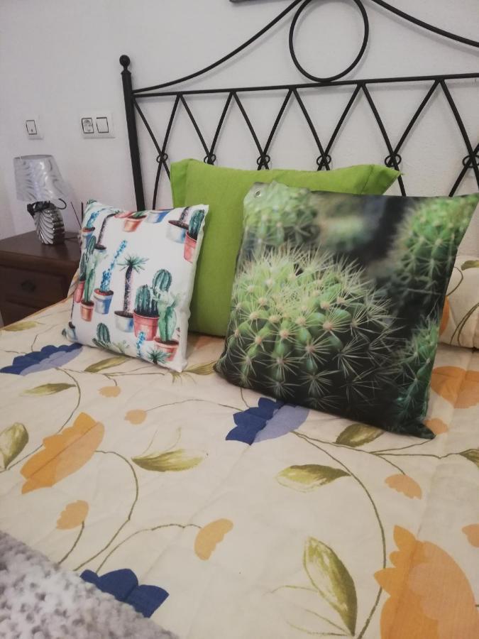Apartamento Naturista En Primera Linea De Vera Playa!!! Las Bombardas Exteriér fotografie
