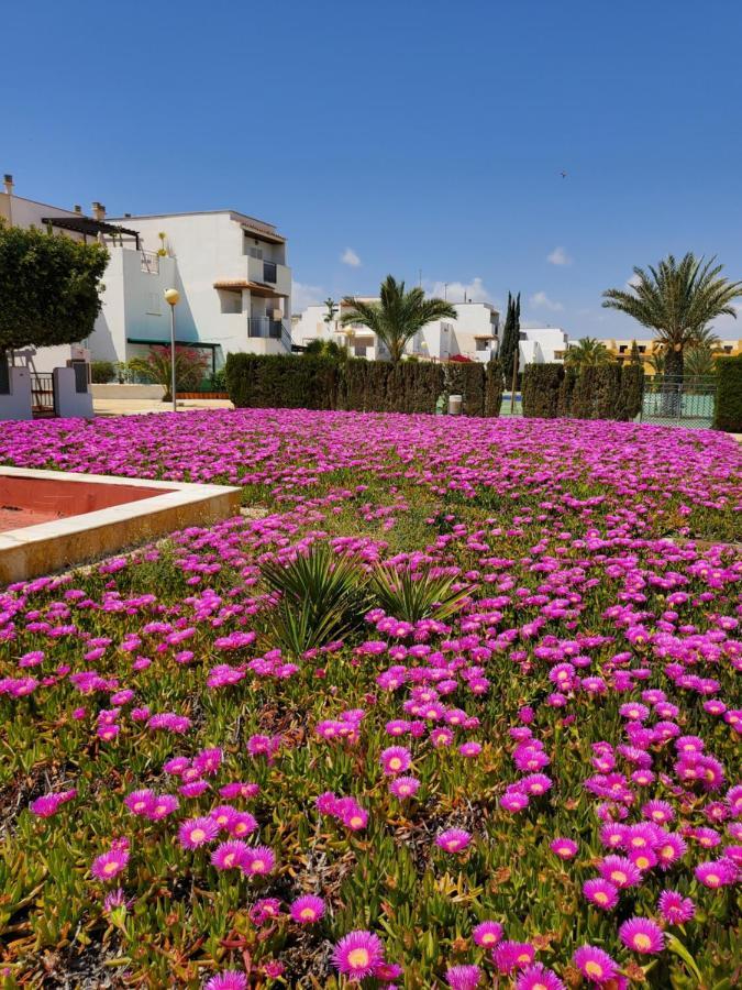 Apartamento Naturista En Primera Linea De Vera Playa!!! Las Bombardas Exteriér fotografie